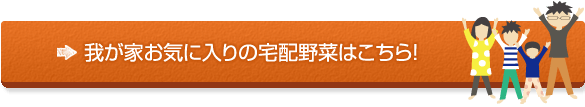 我が家お気に入りの野菜の宅配