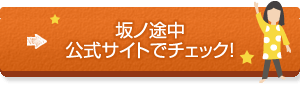 坂の途中、野菜の宅配サイトはこちら