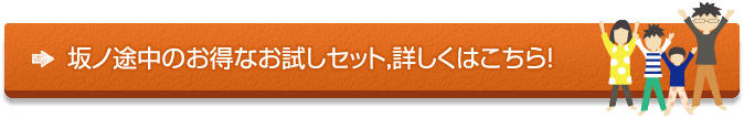 坂の途中、公式サイトはこちら