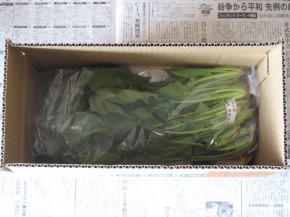 真上からみた、大地を守る会 基本お試しセット