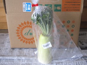 大根（大地を守る会）