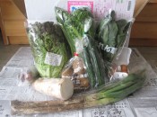 無農薬野菜のミレー、有機野菜セット