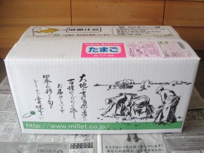 無農薬野菜のミレー 初回お試しセット