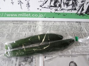 キュウリ（無農薬野菜ミレー）