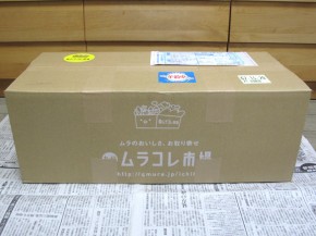 九州ムラコレ市場、田舎野菜Mセット