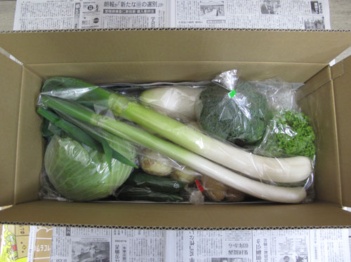 真上から見た、田舎野菜Mセット