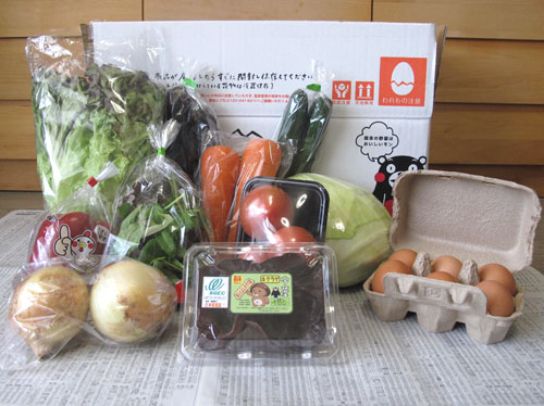 九州野菜王国の野菜セット