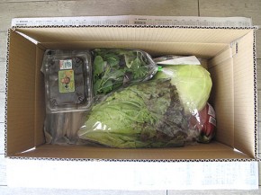 真上から見た、九州野菜王国お試しセット