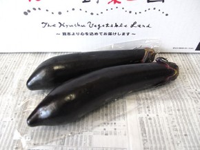 筑陽なす（九州野菜王国）