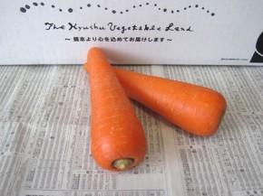 人参（九州野菜王国）