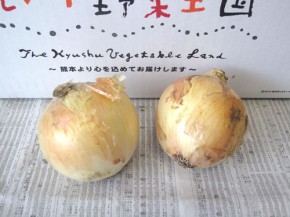 塩たまちゃん（九州野菜王国）