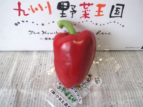パプリカ 赤（九州野菜王国）