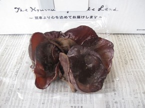 生きくらげ（九州野菜王国）