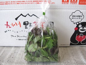 ベビーリーフ（九州野菜王国）