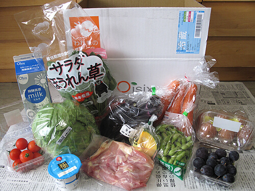 オイシックスのお試しセット