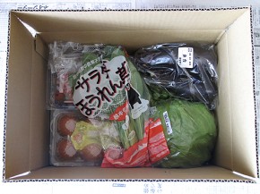 オイシックス(oisix)野菜の宅配お試しセット、上からの図