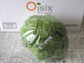 高原レタス(オイシックス)