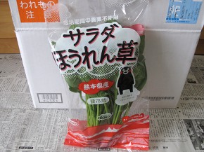 サラダほうれん草(オイシックス)