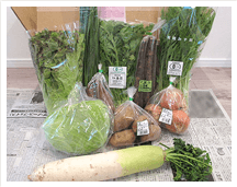ビオマルシェの有機野菜セット