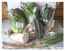 無農薬野菜のミレー