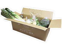 九州ムラコレ市場