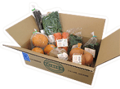 おーがにっくがーでん