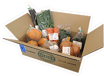 おーがにっくがーでん