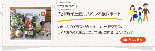 野菜の宅配、九州野菜王国体験レポートへ