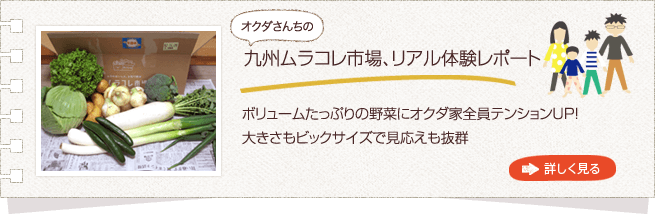 野菜の宅配、【販売終了】九州ムラコレ市場体験レポートへ