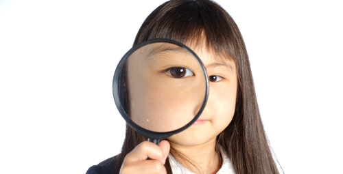 野菜宅配、我が家の選考基準