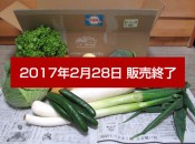 九州ムラコレ市場