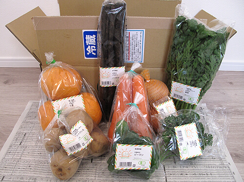 おーがにっくがーでん、有機野菜セット