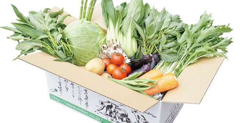 無農薬野菜のミレーの野菜セット