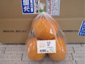 おーがにっくがーでん、甘夏