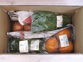 おーがにっくがーでん、有機野菜セットの中身