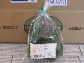 おーがにっくがーでん、ピーマン