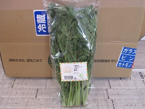 おーがにっくがーでん、春菊