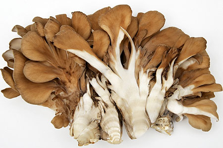 宅配した舞茸の保存方法