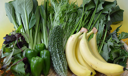 おーがにっくがーでんの野菜セット