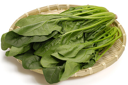 宅配したほうれん草の保存方法