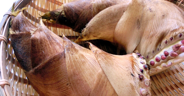 旬の野菜が届く