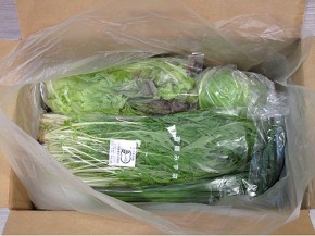 真上からみた、ビオマルシェ有機野菜セット