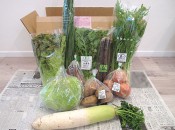ビオマルシェの宅配、有機野菜セット