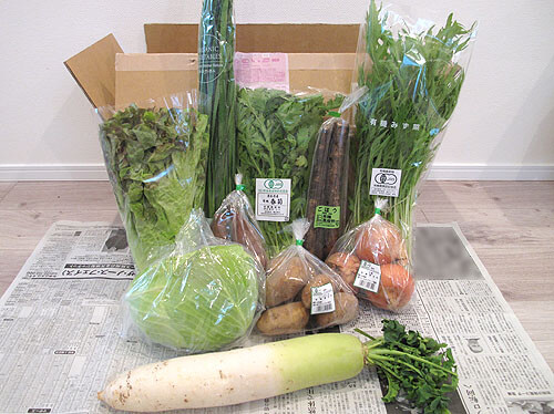 ビオマルシェの宅配、有機野菜セット