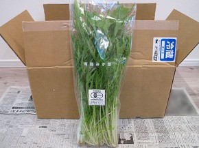 水菜（ビオマルシェ）