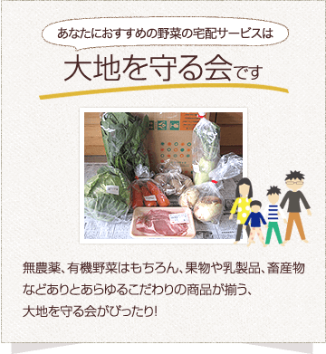 大地を守る会の野菜セットがおすすめ