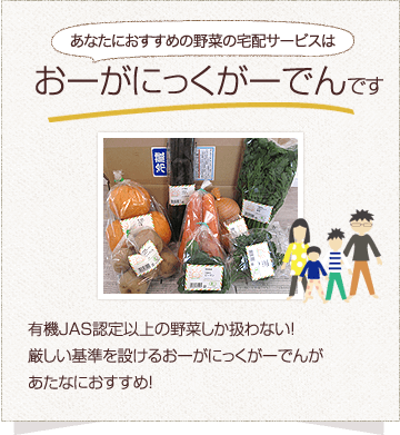 おーがにっくがーでんの野菜セットがおすすめ