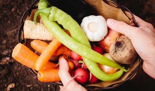 宅配した野菜の保存方法