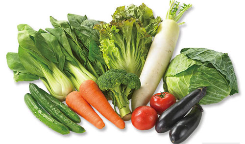 大地を守る会の野菜セット