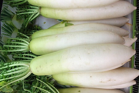 宅配した大根の保存方法